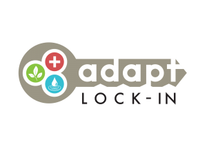 Adapt Lock-in Project